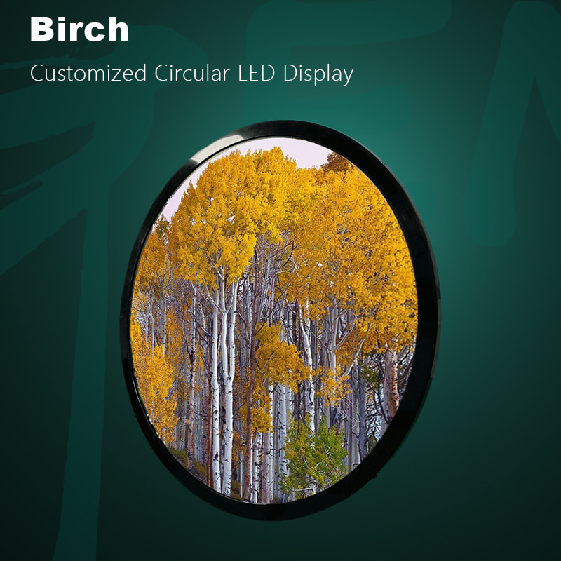 Customized Circle LED Display